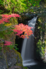 高野大滝