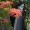 高野大滝