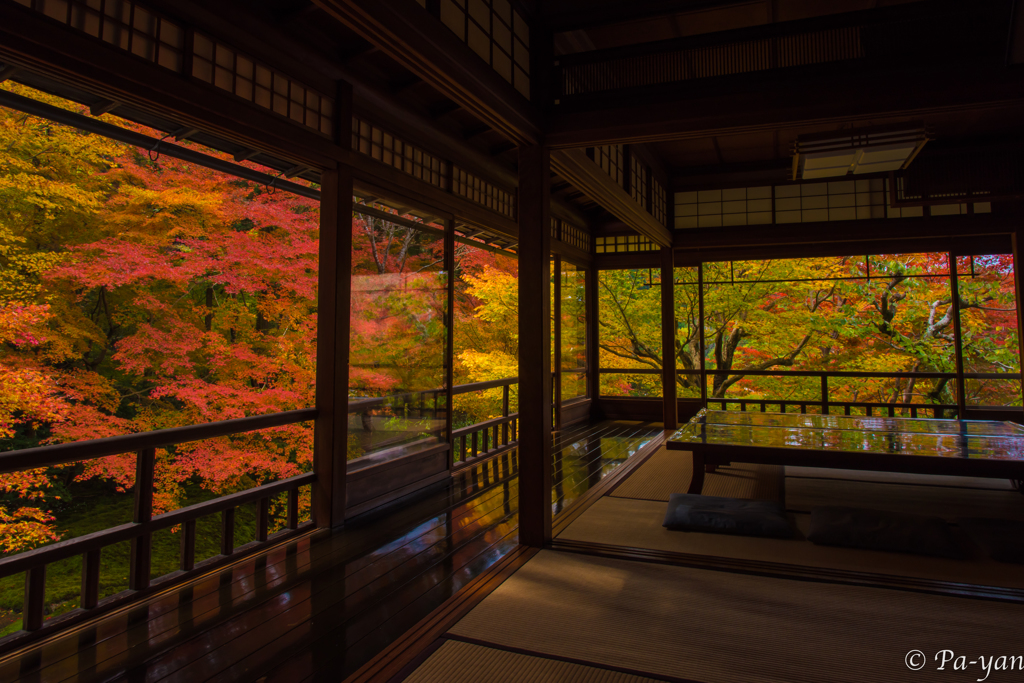 Reflection