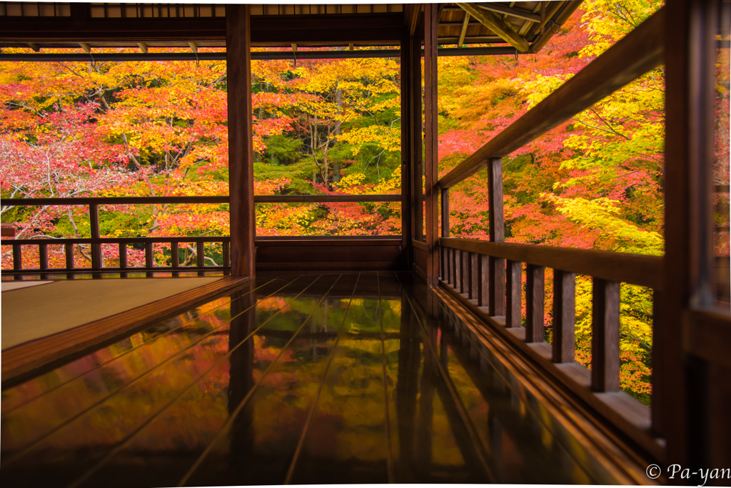 Reflection
