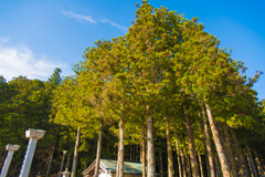 高野山にて