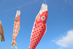 季節外れのこいのぼり