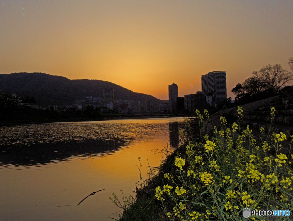 夕暮れ時の河原