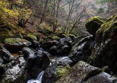 雨上がりの渓谷1