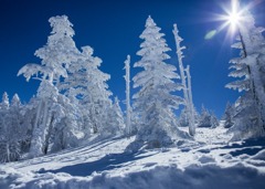 ライトアップ？