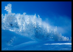 横手山スキ－場で