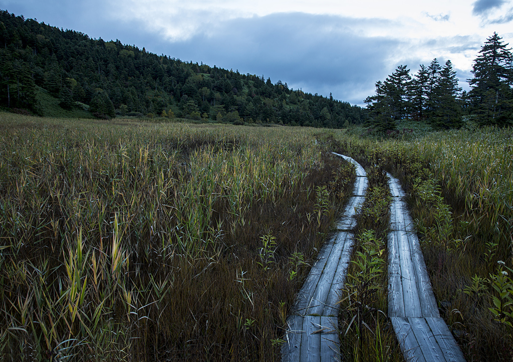 吉ヶ原湿原　朝1