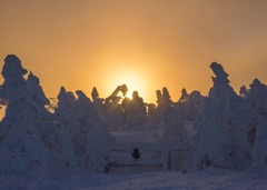 横手山スキ－場で
