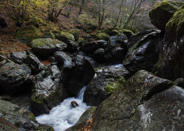 雨上がりの渓谷2