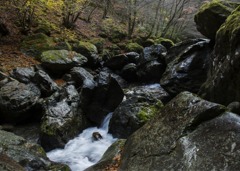 雨上がりの渓谷2