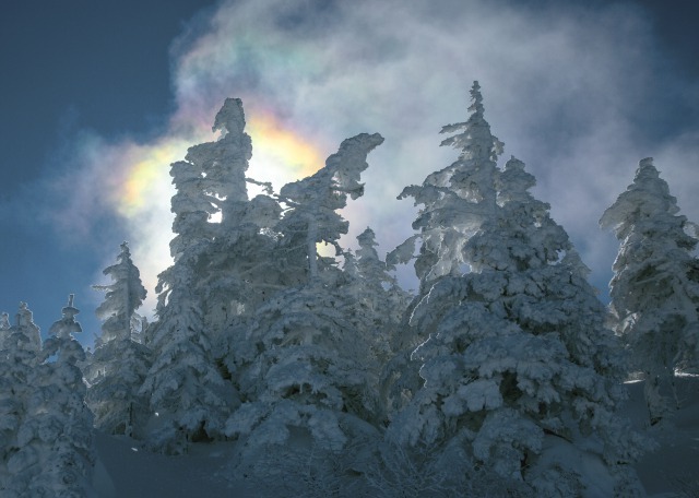 横手山スキ－場で