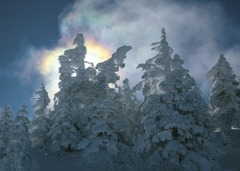 横手山スキ－場で