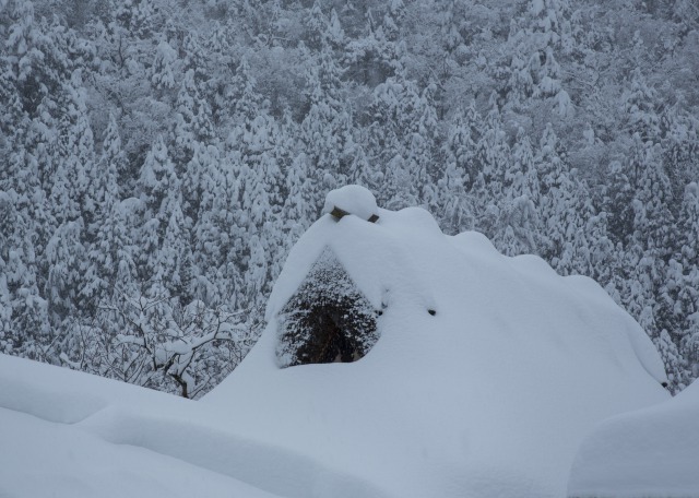 里山の雪景色4