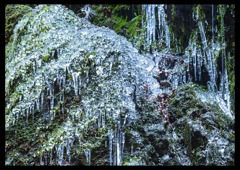 氷柱