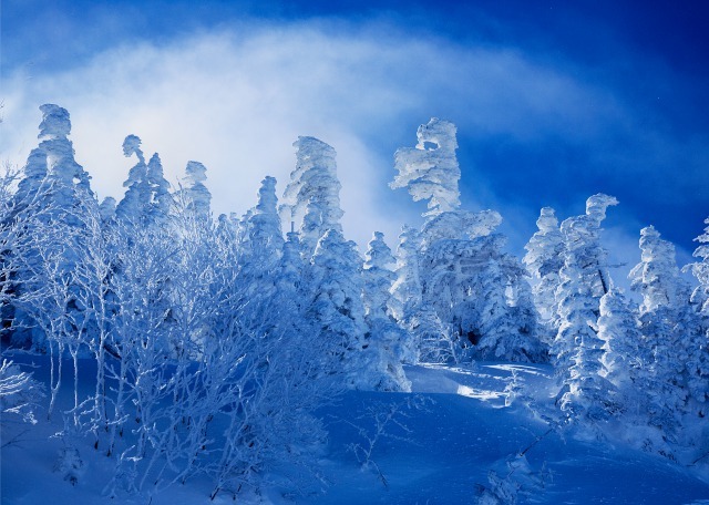 雪景色3