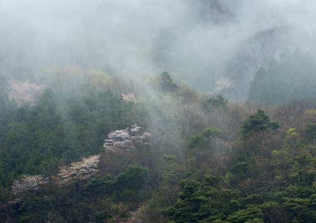 丹後松島