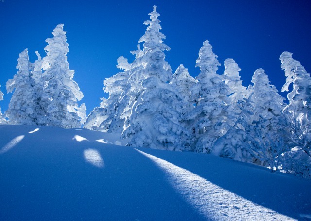横手山スキ－場で