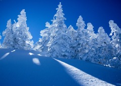 横手山スキ－場で