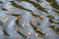 満濃池3