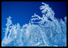 横手山スキ－場で