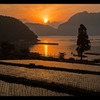 日引きの棚田2