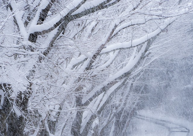 雪・氷2