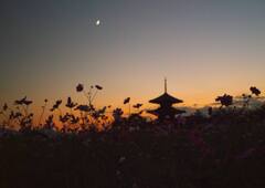 夕景4