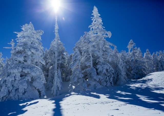 横手山スキ－場で