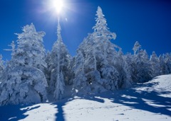 横手山スキ－場で