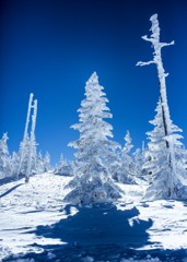 横手山スキ－場で