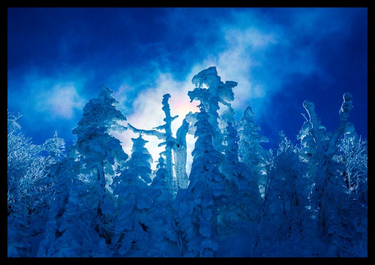 横手山スキ－場で