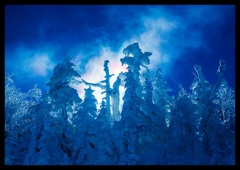 横手山スキ－場で