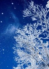 横手山スキ－場で