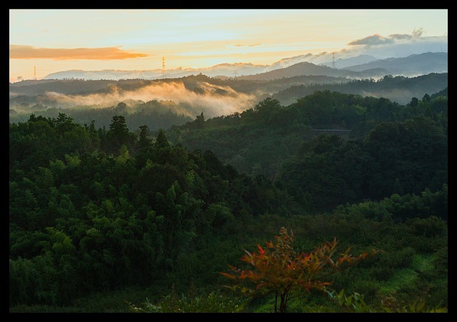 朝景1