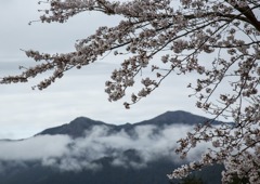 十津川方面へ