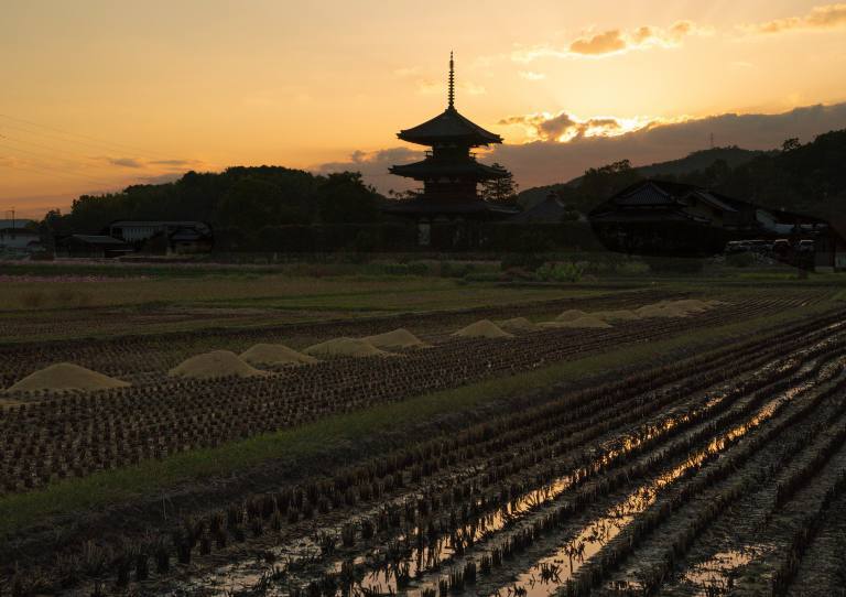 夕景2