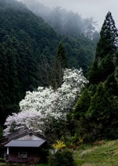 十津川方面へ