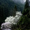 十津川方面へ