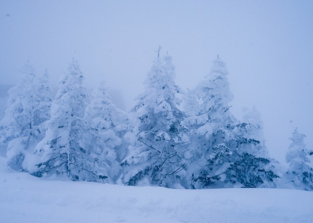 厳しさに耐えて