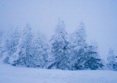 厳しさに耐えて