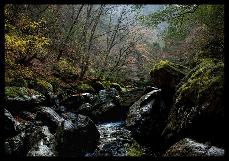 雨上がりの渓谷