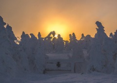 横手山スキ－場