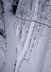 野迫川