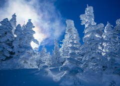 横手山スキ－場
