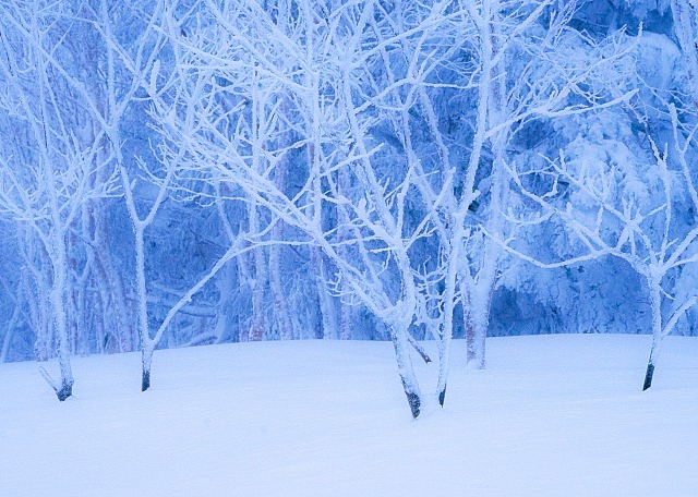 雪景色2