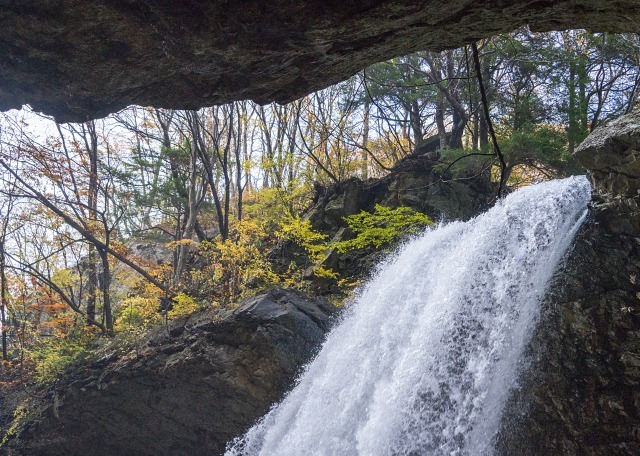 滝4