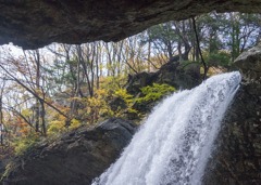 滝4