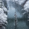 徳山ダム
