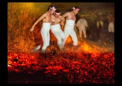 やっさいほっさい祭り