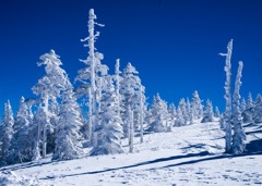 横手山スキ－場から